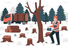 using-lumber-for-uses-other-than-construction-projects