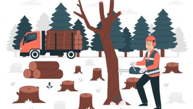 using-lumber-for-uses-other-than-construction-projects